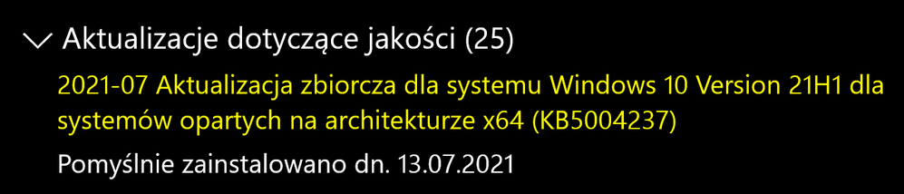 Zrzut ekranu 2021-07-13 224234.png