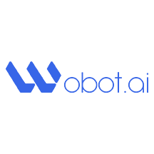 Wobot VMS.png