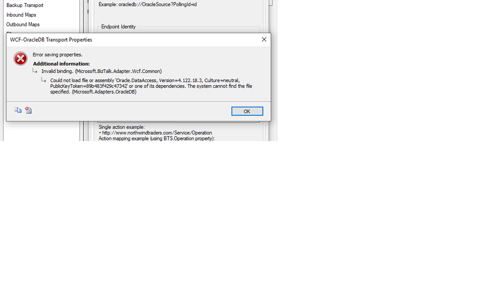WCFOracleDB error.png