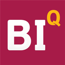 BI.Qube Meta-control for ETL.png