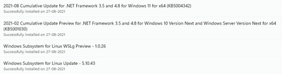 windowsbug_0-1630028194838.png