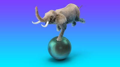 Elephant-balancing-on-a-ball-against-a-purple-and-teal-background-1920x1080.jpg