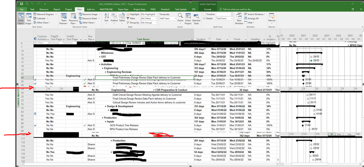 Display Issue in MS Project Professional 2016 | Microsoft Community Hub