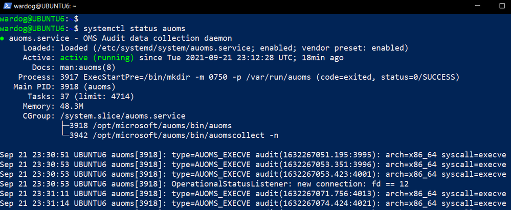 validate_auoms_server_is_running_2.png