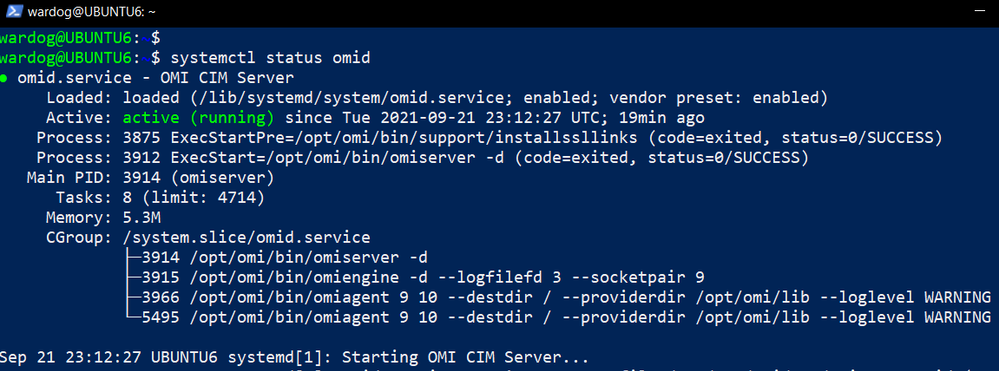 validate_omid_server_is_running.png