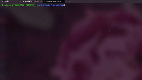 ws2022_demo_smallest.gif