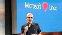 microsoftloveslinux.0.0.jpg