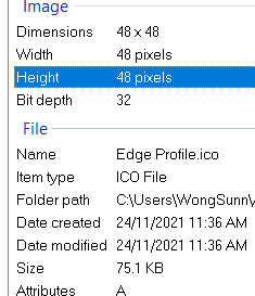 sunnyschindler_1-1637729701739.png