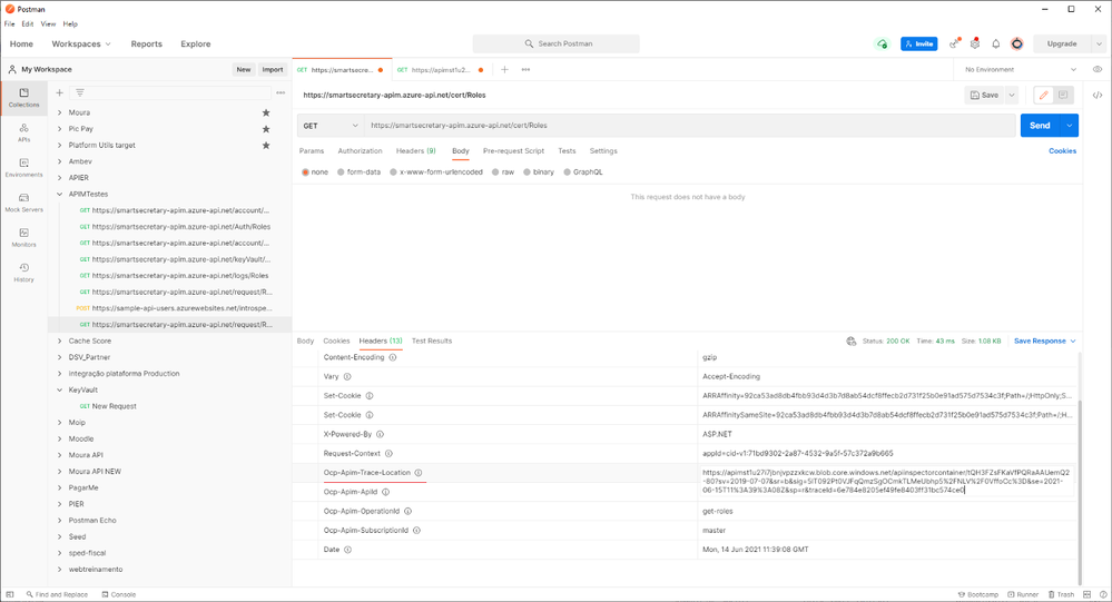 Teste pelo Postman com uma chamda para o APIM