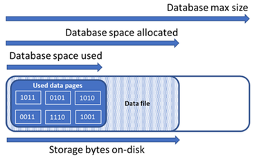 Palomag_MSFT_0-1640258361394.png