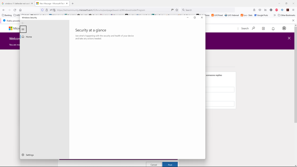Security page is blank