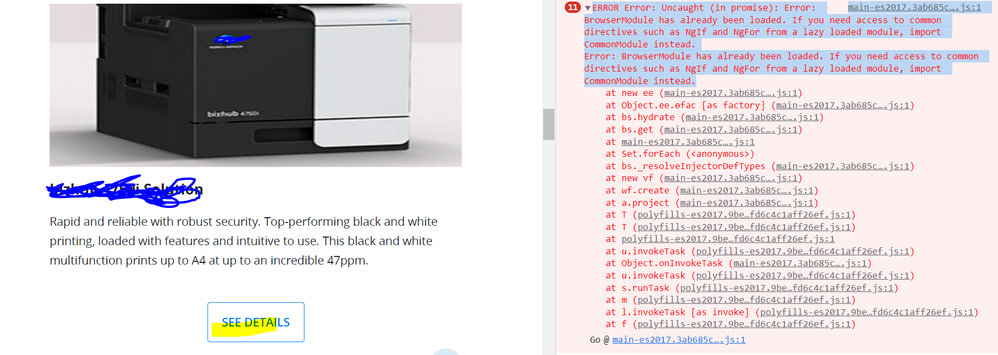 angular-issue.PNG