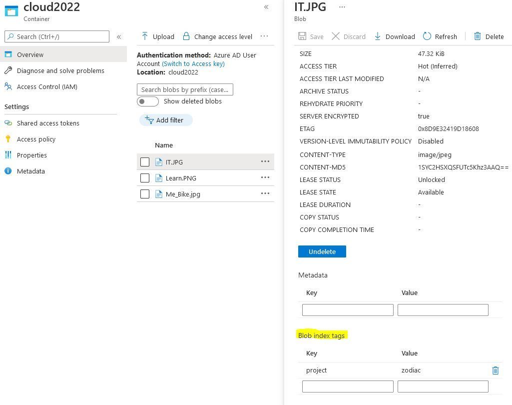 Control access to blobs with blob index tags and custom security ...