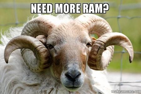 Ram asking for more ram