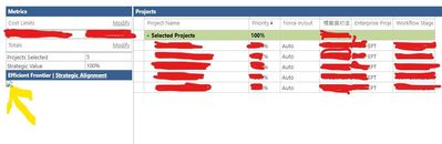 Priority of the projects is calculated, but the Efficient Frontier Chart does not work