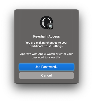 Keychain Watch auth.png