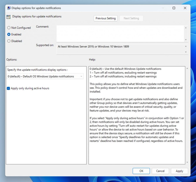 Display options for end user update notifications
