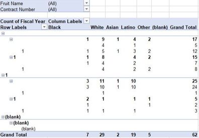 dummy pivot table.jpg