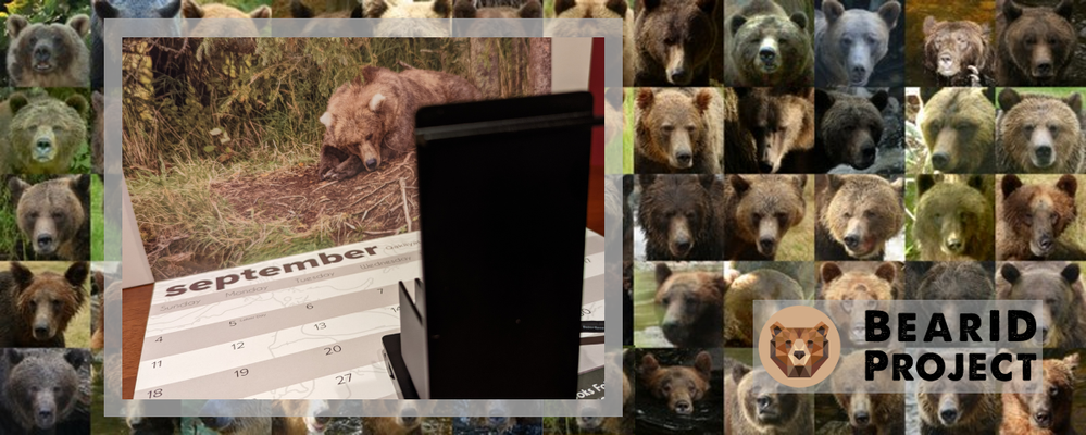 BearID Project Header