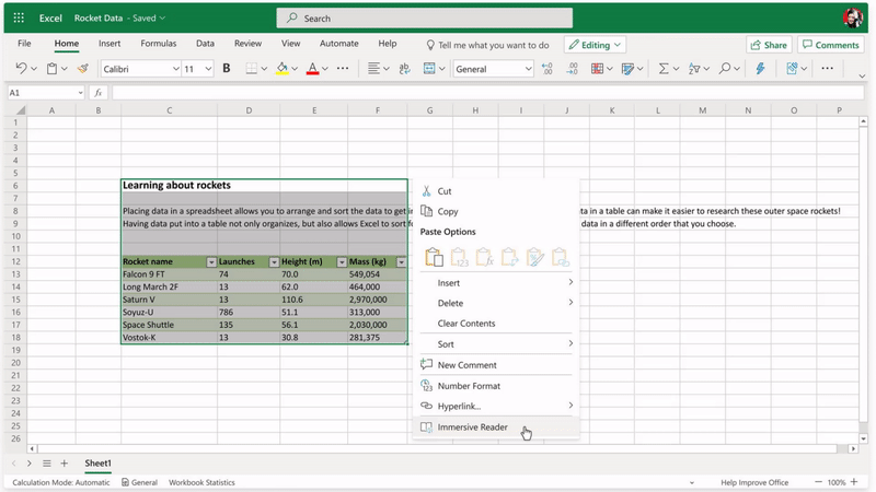 Excel Immersive Reader.gif
