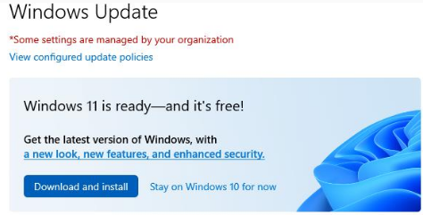 win11.png