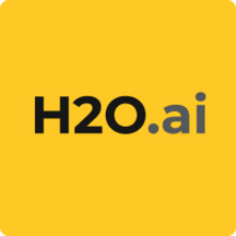 H2O AI Cloud Platform.png