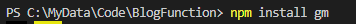 npm install gm