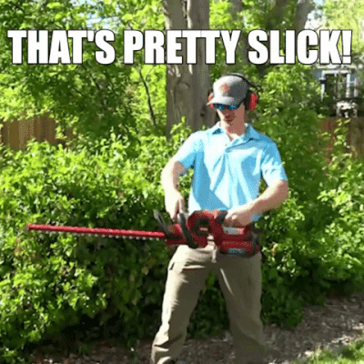 TimothyBalk_0-1659024732100.gif