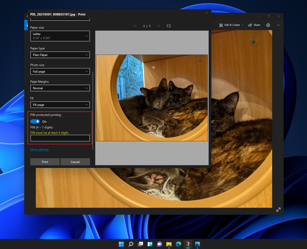 If the printer supports PIN release, users will see the “PIN-protected printing” option in the print dialog to enable user to enter their desired PIN.