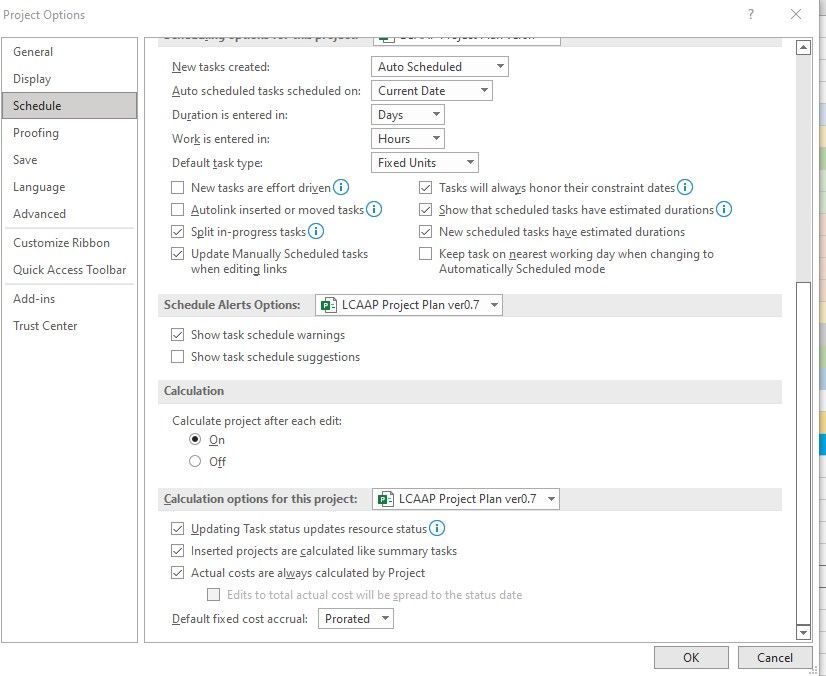 Screenshot Ms Project.jpg