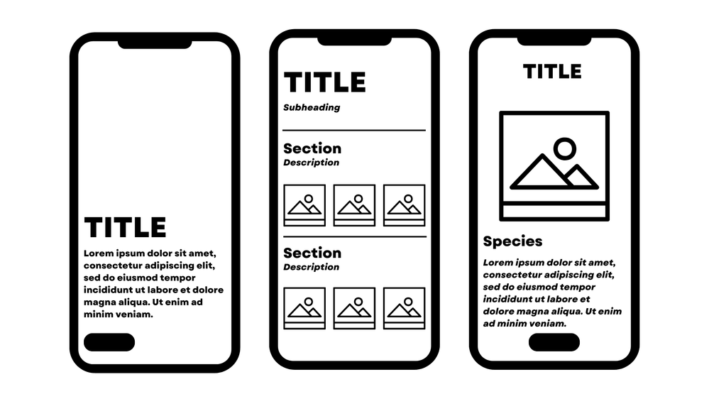A mockup of the app.
