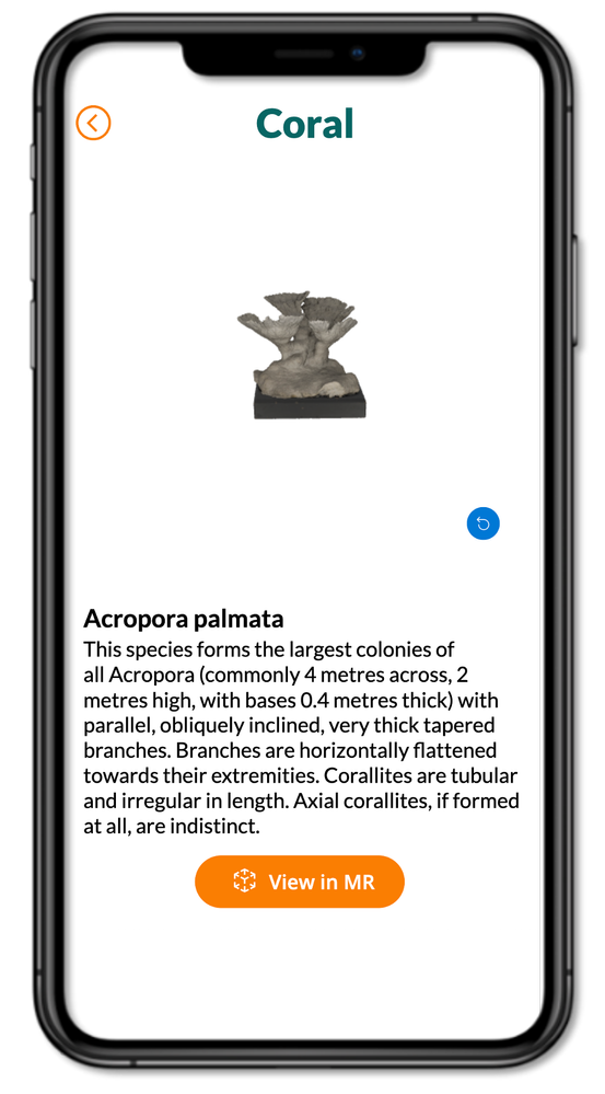 Information screen for the app.
