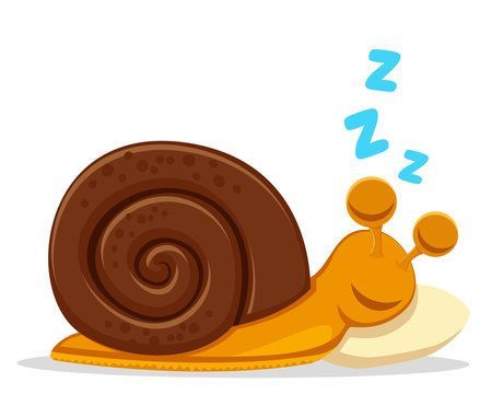 sleeping snail.jpg