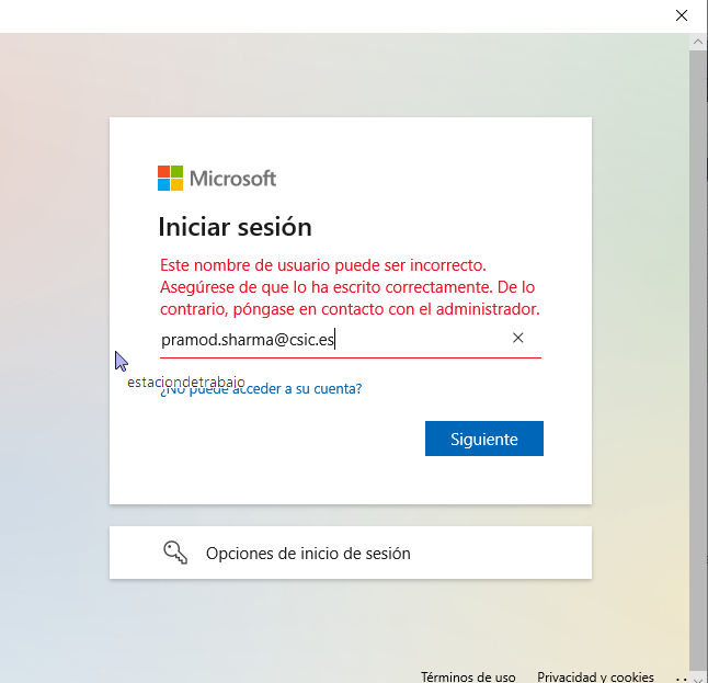 microsoft teams web browser not working