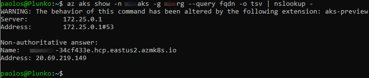 nslookup.png