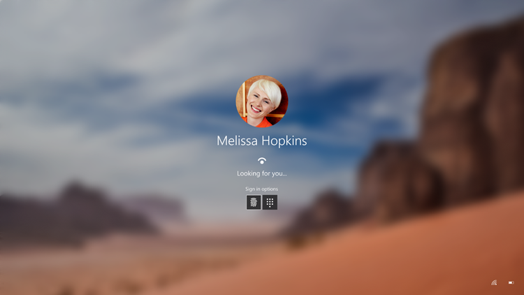 Screenshot of the Windows Hello screen