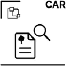 CAR.png