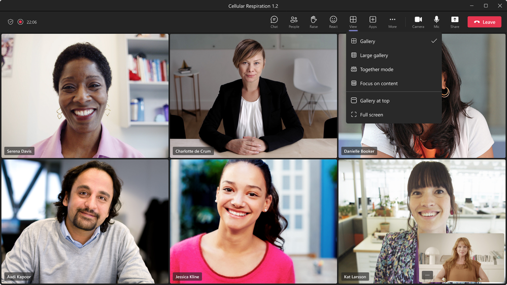 2 View button in meeting toolbar.png