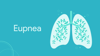 A logo for the team Eupnea