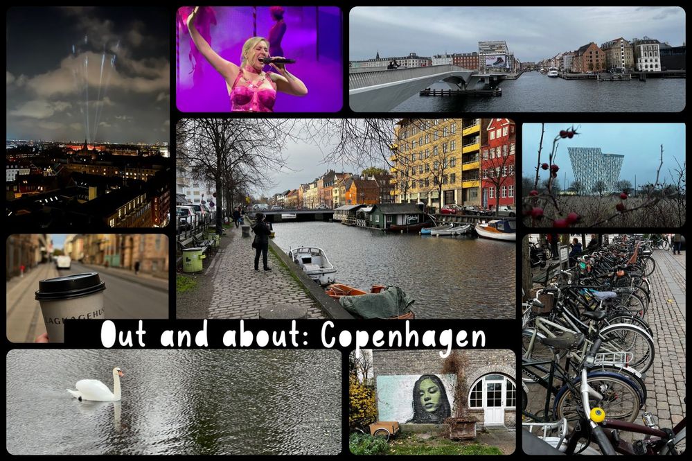 A 'view beyond the ESPC22 conference center’ collage highlights the beauty of the host city (Copenhagen, Denmark) that supported many post-session outings and gatherings.