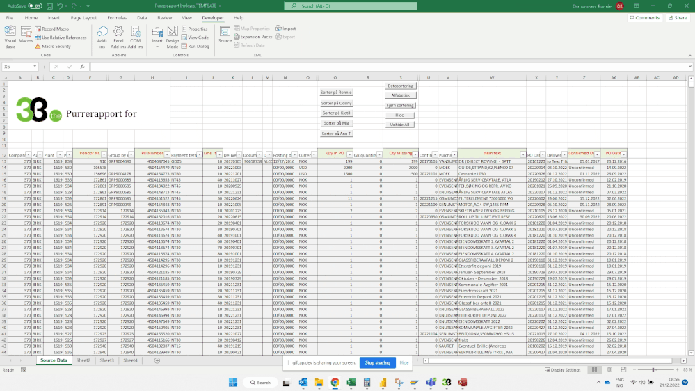 Excel Screenrec 1.gif