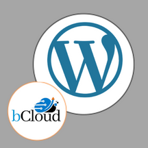 WordPress with Support on Ubuntu 20.04.png