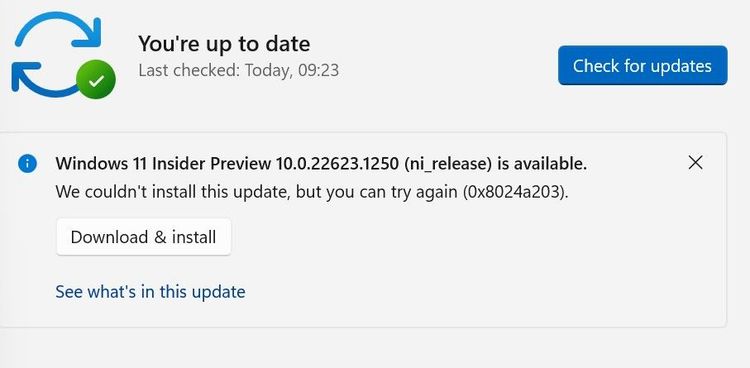 Issue with the update of WIndwos 11 insider preview | Microsoft ...