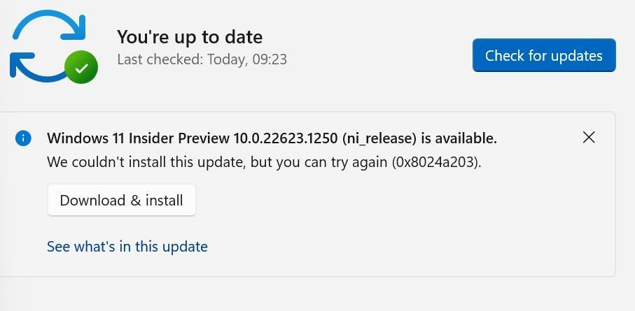 Windows 11 insider preview update error.jpg