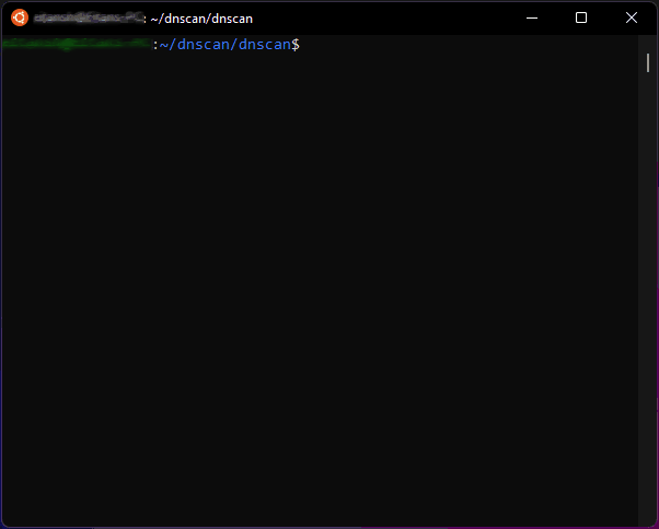 Python wordlist-based DNS subdomain scanner
