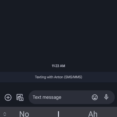 anton_demo.gif