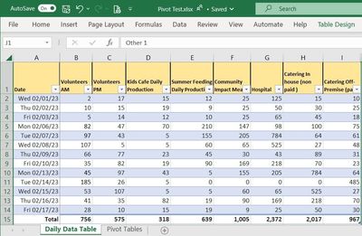 Excel Data Table.jpg