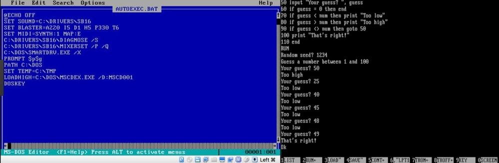 Autoexec.bat, config.sys, a staple of my youth from 8088 to 80286 and beyond.
