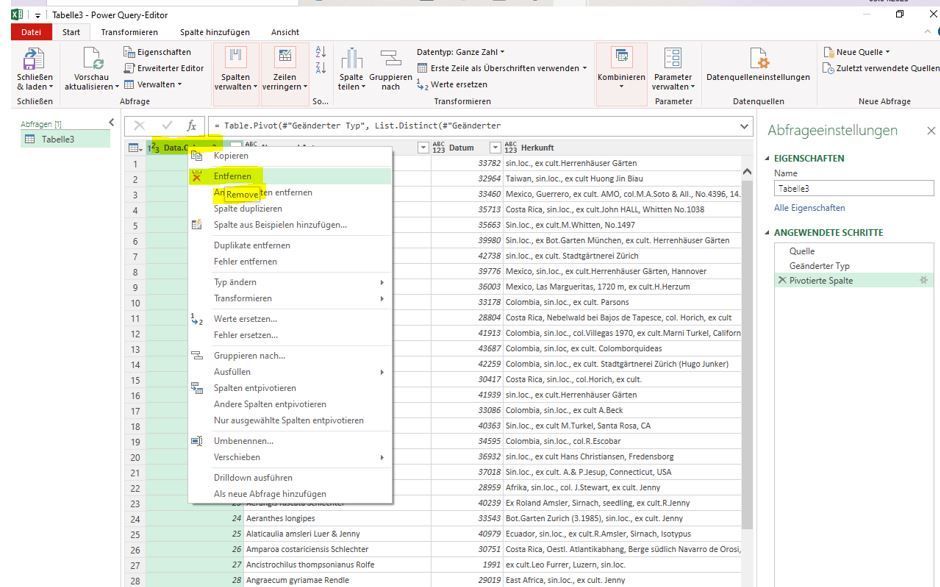 power query remove.JPG