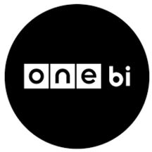 OneBI GPT GekoBOT 12-Month Implementation.png